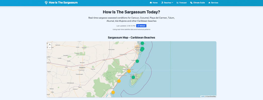 How Is The Sargassum website screenshot showing real-time tracking interface