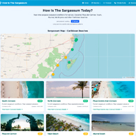 How Is The Sargassum